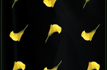 Designer Luxury Silk Scarf