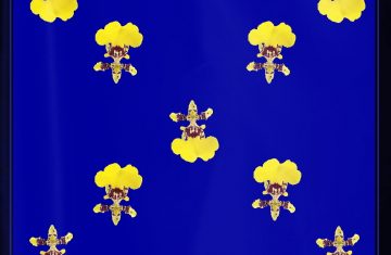 Gorgeous Designer Silk Scarf